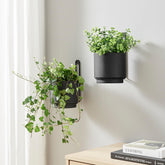 CISEANOL front view of black wall planter showing sleek modern silhouette and space-saving benefit