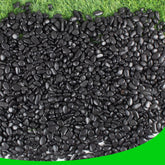 CJGQ polished black pebbles front view showing bag and dark finish benefit