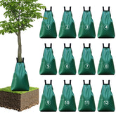 Clebay 12-pack front packaging showing full set and branding, durable and ready