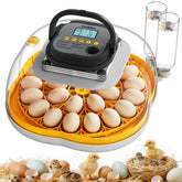 CluckRun front view of incubator showing controls and clear lid for easy monitoring