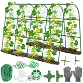 Cludoo front view of assembled arch trellis showing sturdy frame and netting benefit