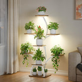 CODACE front view of full six-tier plant stand showing organization benefit