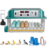 CoInceptus front view showing closed incubator and organized egg layout for easy access