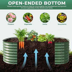 Colaeynoe side profile emphasizing 24-inch deep root zone for larger vegetables