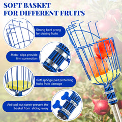 Colingmill harvesting apples from a high branch illustrating gentle pick-and-catch benefit