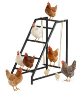 Comzinn front view of perch showing full five-tier roost and ladder benefit
