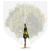 Cookmaster front view of 10x10ft netting protecting a fruit tree, clear protection