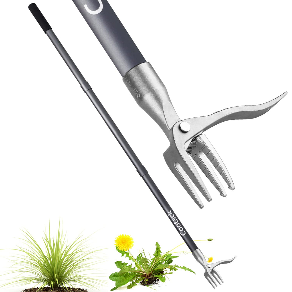 Cootack front view of full 52-inch weed puller showing reach and ergonomic handle benefit
