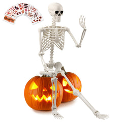 Crogift skeleton front view showing lifelike proportions and spooky presence