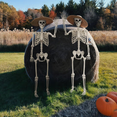 Crogift skeleton staged on porch adding eerie outdoor decoration appeal