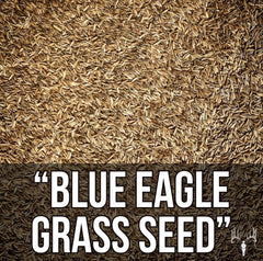 Crooked Bend seed spread on soil for even establishment benefit