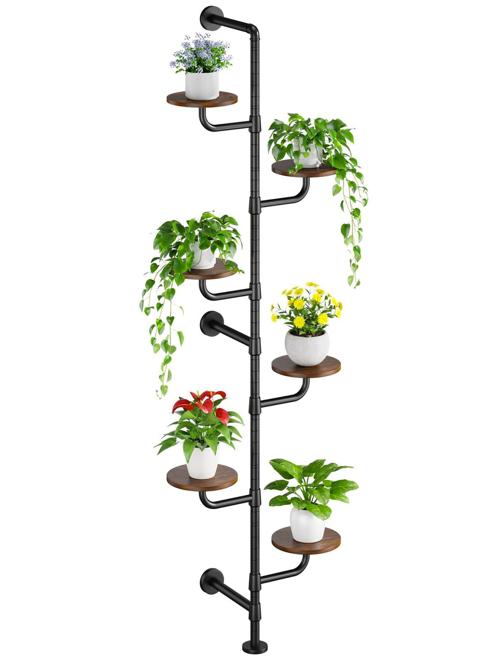CYXPHION front view of assembled C5 plant stand showing full six tiers and compact profile