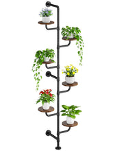 CYXPHION front view of assembled C5 plant stand showing full six tiers and compact profile