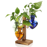 CYZglass colored bottle front view showing vibrant hue and elegant shape for display