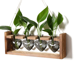 CYZglass front view of four heart vases on wooden stand showing elegant display and easy propagation