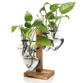 CYZglass front view of wooden stand and four colored glass vases for neat display