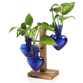 CYZglass front view showing wooden stand with multiple glass propagation jars for neat display