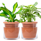 D'vine Dev front view of two terracotta planters showing clean tabletop appeal