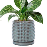 D'vine Dev beaded pot front view showing graphite blue finish and elegant shape