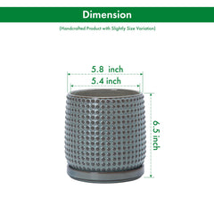 D'vine Dev pot with matching saucer showing neat water catch and tidy surface