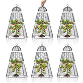Dadywheels front view of six cloches showing coverage and assembly ease