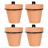 Darware front view of metal ring planters showing compact wall-mounted display and curb appeal