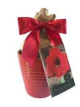 Daylily Nursery red ceramic pot front view showing decorative finish and sturdy rim benefit