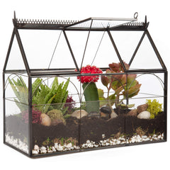 D'Eco glass greenhouse front view highlighting clean lines and display benefit