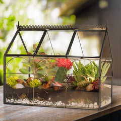 D'Eco terrarium hinged panel open for easy plant access and simple care