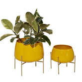 deco 79 front view of both yellow planters with modern appeal