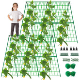 DECOHS front view of assembled A-frame trellis showing neat vertical support and easy harvest