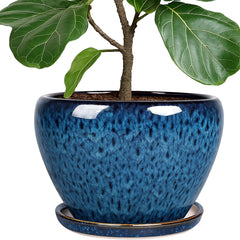 Deep Dream front view of peacock blue ceramic pot showing shape and finish for stylish display