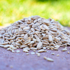 Desert Valley seed in tray feeder showing easy access for birds