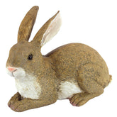 Design Toscano Bashful the Bunny front view showing lifelike pose and welcoming charm