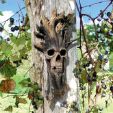 Design Toscano front view of evil tree plaque showing menacing face and curb appeal