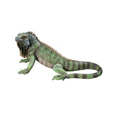 Design Toscano front view of Iggy iguana statue showing lifelike pose and welcome impact