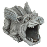 Design Toscano front view of gargoyle downspout extension shows decorative drainage