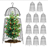 DFJFIFF front view of 12-pack cloches showing packaging and count benefit