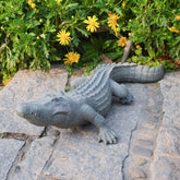 DiliComing alligator front view showing realistic pose and eye-catching detail