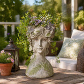 DiliComing front view head-planter showing playful face and strong display benefit