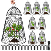 Doksving front view of eight cloche set protecting seedlings showing coverage benefit