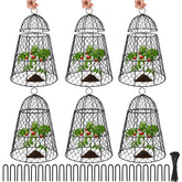 Doksving front view of six cloches protecting garden plants and offering clear coverage