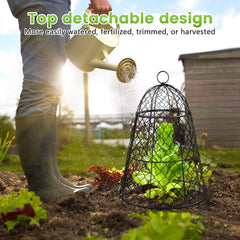 Doksving removable top detail for easy watering and pruning access