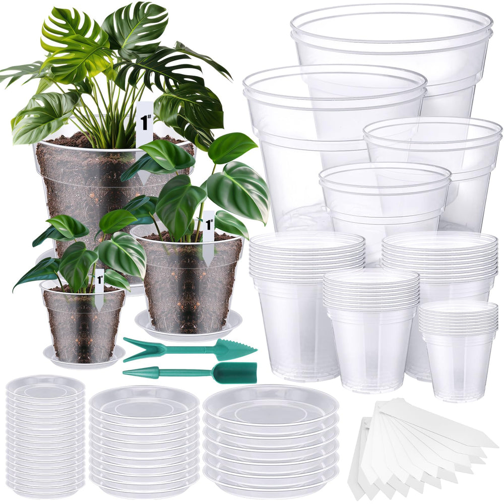 Domensi front packaging showing complete 40 pack kit and benefits