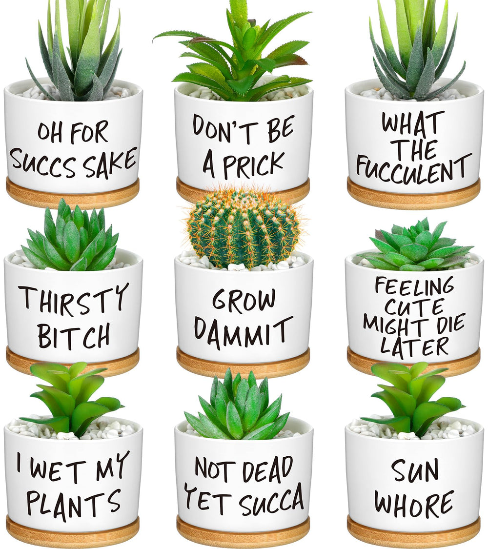 Domensi front view of nine ceramic planters with humorous designs and bamboo trays for decor