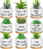 Domensi front view of nine ceramic planters with humorous designs and bamboo trays for decor