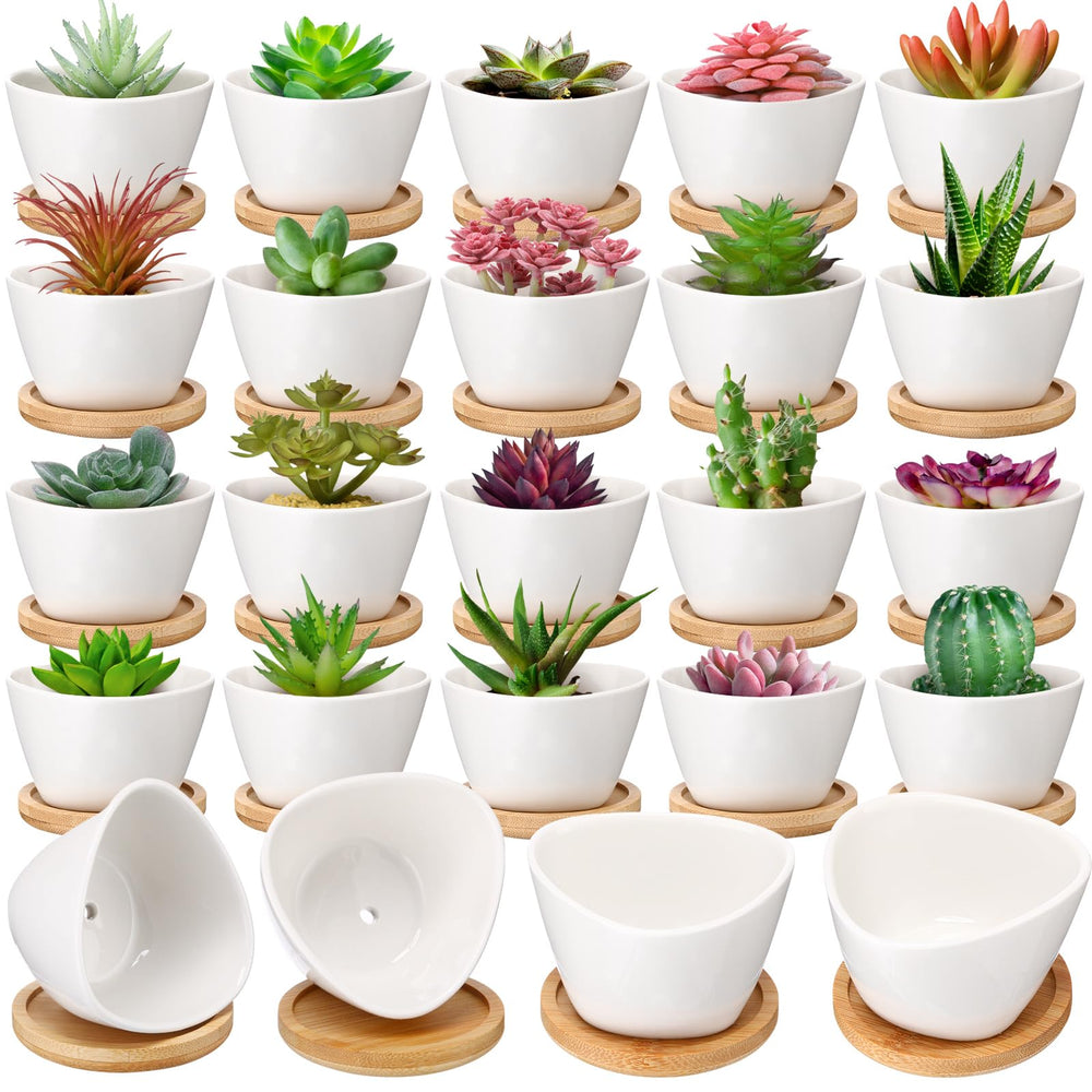 Domensi 24-pack white mini pots showing tidy bulk and elegant look