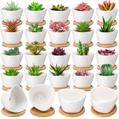 Domensi 24-pack white mini pots showing tidy bulk and elegant look