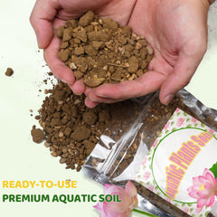 Doter soil texture close-up with clay granules — shows nutrient-rich structure benefit