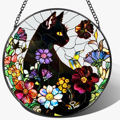 DOUHASU black cat front view showing playful silhouette and colorful sunlight effect